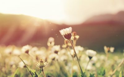 Menopause – ‘The Second Spring’